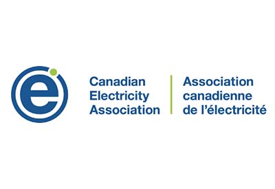 Sergio Marchi Named President And CEO of the Canadian Electricity Association