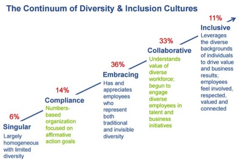 Chart showing the continuum of diversity and inclusion cultures