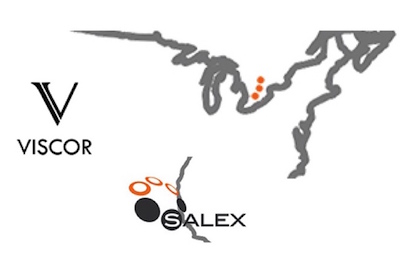 Viscor and Salex Strengthen Partnership