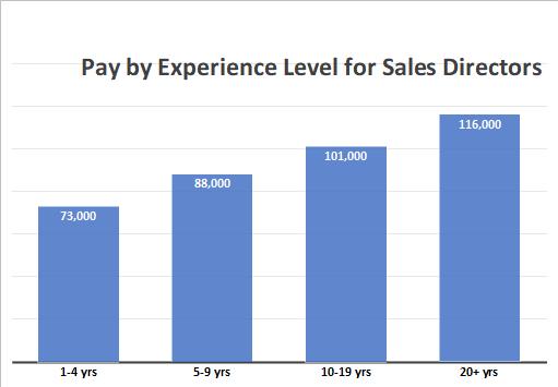 Pay by Experience Level for Sales Director