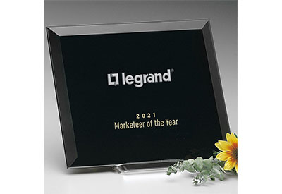 Legrand Announces 2021 North American Marketeer of the Year Winners for Electrical Distribution Channel